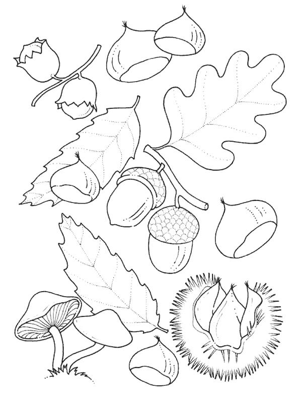 Plansa de colorat cu Toamna 138 44